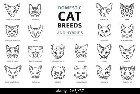 Les races de chats domestiques et hybrides portraits collection linéaire isolé sur blanc. Ligne simple style la tête du chat. Vector illustration Illustration de Vecteur