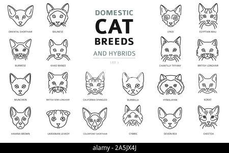 Les races de chats domestiques et hybrides portraits collection linéaire isolé sur blanc. Ligne simple style la tête du chat. Vector illustration Illustration de Vecteur