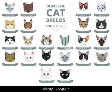 Les races de chats domestiques et hybrides portraits collection isolated on white. Couleur plate style la tête du chat. Vector illustration Illustration de Vecteur