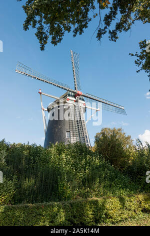 Moulin à vent hollandais, moulin monumental "Op de Vrouweheide' construit 1858 près de Voerendaal, Ubachsberg, Limbourg, au sud des Pays-Bas. Banque D'Images