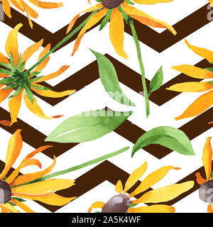 Rudbeckia hirta fleurs botanique floral. Contexte aquarelle illustration set. Motif de fond transparent. Banque D'Images