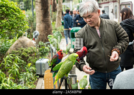 Les amateurs d'oiseaux montrent leurs oiseaux exotiques à la Yuen Po Street Bird Garden à Mong Kok, Kowloon, Hong Kong. Banque D'Images