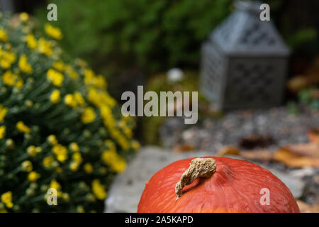 Orange citrouille sur du gravier en bouquet de fleurs jaune rustique et feuilles d'automne et de l'étain lanterne en arrière-plan flou. Close-up et high angle view. Banque D'Images