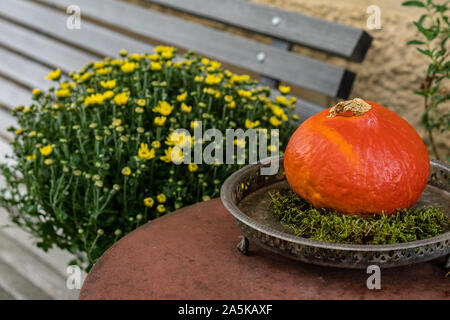 Maison de symboles avec orange citrouille en argent Plaque ornementale avec moos et décoration en bois suivant bouquet de fleurs à l'extérieur banc vintage. High angle v Banque D'Images