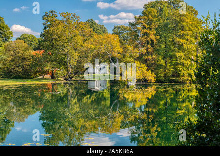 Paysage d'automne avec la réflexion des arbres dans un lac Banque D'Images