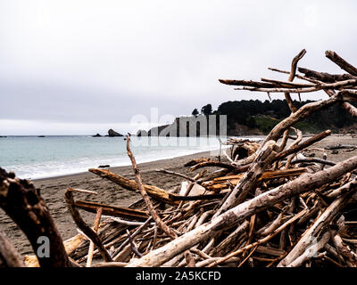 Driftwood éparpillés sur la plage avec l'océan dans l'arrière-plan Banque D'Images