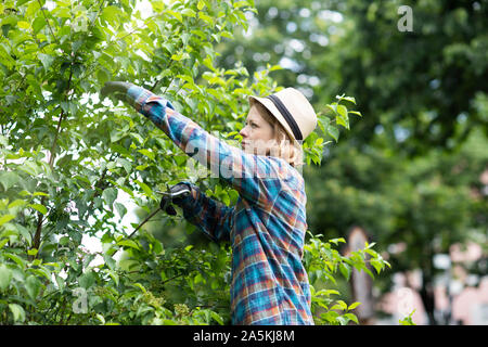 Mid adult woman pruning arbre dans son jardin, vue latérale Banque D'Images