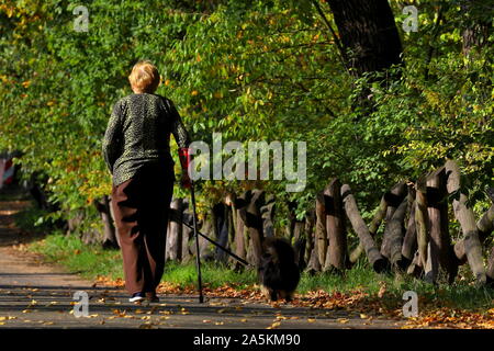 L'automne dans le parc de la Pologne, de l'automne dans le parc, une vieille dame avec une béquille avec un chien Banque D'Images