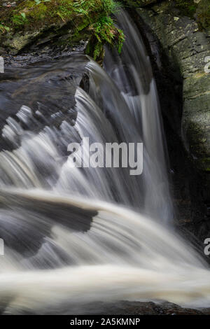 Cordorcan cascades graver dans le bois de la réserve crie, Newton Stewart, Dumfries et Galloway, Écosse Banque D'Images