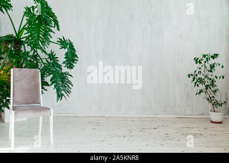Chaise gris avec home les plantes dans l'intérieur d'une salle grise vintage Banque D'Images