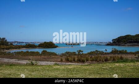 L'Île Rangitoto (Scenic Reserve) à proximité de Auckland, en Nouvelle Zélande Banque D'Images