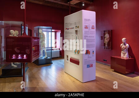 Musée des soins de santé de l'Estonie, Tallinn, Estonie Banque D'Images