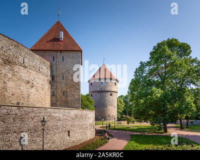 Kiek in de Kök & Neitsitorn Tower, Tallinn, Estonie Banque D'Images