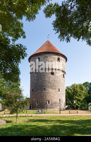 Kiek in de Kök, Tallinn, Estonie Banque D'Images