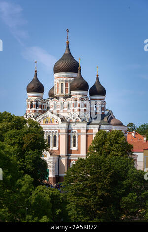 La cathédrale Alexandre Nevsky, Tallinn, Estonie Banque D'Images