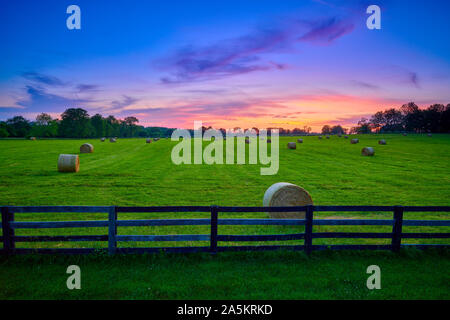 Round hay bails dans un champ au coucher du soleil avec une clôture en premier plan. Banque D'Images