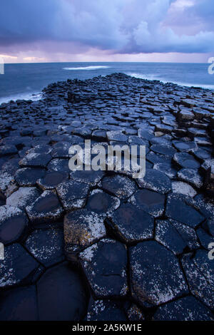 Giant's Causeway, colonnes de basalte colonnaire, résultat d'une ancienne fissure volcanique éruption, l'Irlande du Nord, Royaume-Uni, site du patrimoine mondial Banque D'Images