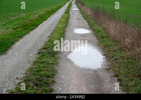 Un chemin avec les flaques, la vallée de la Weser, Weser Uplands, Thuringe, Hesse, Allemagne Banque D'Images