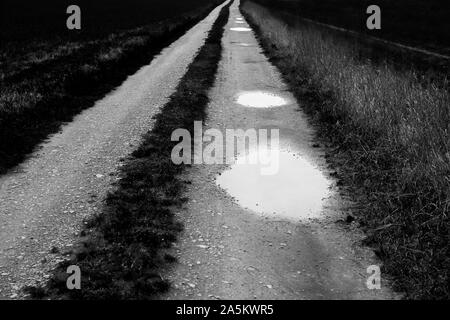 Un chemin avec les flaques, la vallée de la Weser, Weser Uplands, Thuringe, Hesse, Allemagne Banque D'Images