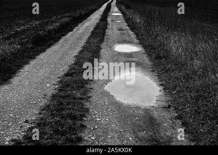 Un chemin avec les flaques, la vallée de la Weser, Weser Uplands, Thuringe, Hesse, Allemagne Banque D'Images