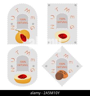 Illustration sur le thème gros définir différents types de noix de muscade, épices diverses. La muscade est constituée de l'écrou d'épices naturelles collection n organique Illustration de Vecteur