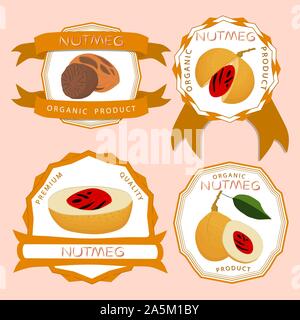 Illustration sur le thème gros définir différents types de noix de muscade, épices diverses. La muscade est constituée de l'écrou d'épices naturelles collection n organique Illustration de Vecteur