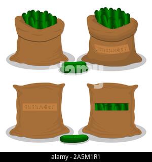 Vector illustration pour sacs remplis de légumes concombre vert, le stockage en sacs. Le concombre est constituée de venu les aliments, les matières produit sur Sac ouvert Illustration de Vecteur