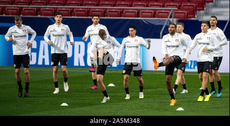 Madrid, Espagne. 21 Oct, 2019. Football : Ligue des Champions, l'Atletico Madrid - Bayer Leverkusen, phase Groupe, Groupe D, Journée 3, dernière formation du Bayer Leverkusen au stade Metropolitano de Wanda. Les joueurs de Leverkusen train sur l'herbe. Credit : Marius Becker/dpa/Alamy Live News Banque D'Images