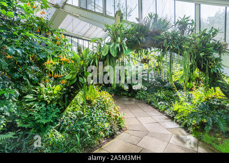 Véranda jardin botanique. Banque D'Images