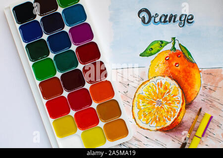 Orange mûr. Fruits dessinés à la main. Esquisse aquarelle. Banque D'Images