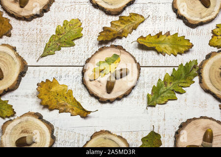 Les feuilles d'automne avec des glands sur fond de bois blanc. Haut de la vue, télévision lay. Banque D'Images