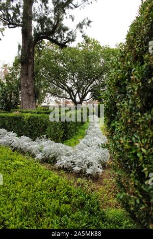 Lisbonne, Portugal- 28 décembre 2017, l'art topiaire:jardin dans le jardin botanique de Ajuda en hiver à Lisbonne, Portugal Banque D'Images