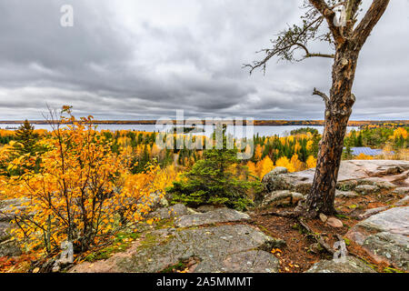 Haut du monde donnent sur la piste, à l'automne, le parc provincial du Whiteshell, Manitoba, Canada. Banque D'Images