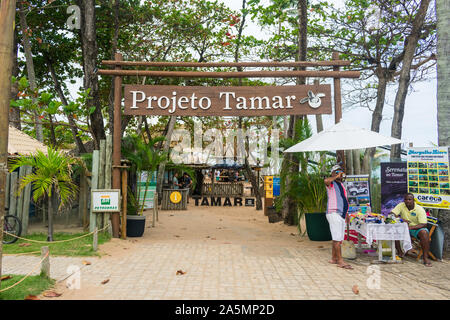 Praia do Forte, le Brésil - Circa 2019 Septembre : Entrée de Projeto Tamar, une organisation sans but lucratif qui s'occupe des tortues de mer Banque D'Images