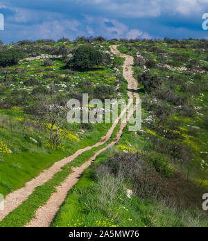 Chemin rural de l'avant au ciel bleu à l'horizon. Concept de réalisation. Chemin tortueux concept. Concept de l'environnement Banque D'Images