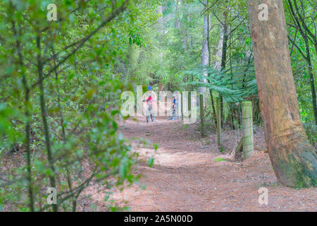 Arapuni, Nouvelle-Zélande - groupe de la famille du cyclisme sur piste cyclable de Nouvelle-Zélande et de Waikato River Trail le long de hautes falaises au-dessus du fleuve Waikato par ombragé pour Banque D'Images