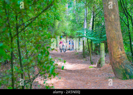 Arapuni, Nouvelle-Zélande - groupe de la famille du cyclisme sur piste cyclable de Nouvelle-Zélande et de Waikato River Trail le long de hautes falaises au-dessus du fleuve Waikato par ombragé pour Banque D'Images