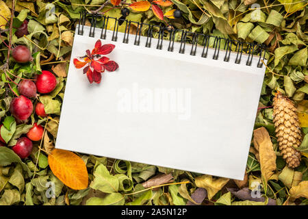 Spirale Blanc carnet d'art contre des feuilles sèches, des baies, de cônes et de crabe, pommes automne vacances carte de souhaits concept Banque D'Images