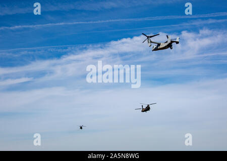 Un Corps des Marines MV-22 Osprey avec des Force-Crisis Response-Africa Tâche air-sol marin 20.1, Forces maritimes de l'Europe et l'Afrique, les mouches derrière un Eurocopter AS532 Cougar Espagnol et CH-47 Chinook avec groupe de travail "Toro taureaux noirs" au cours de l'effort commun de noir à la base aérienne d'Almagro, Espagne, le 16 octobre 2019. L'accord bilatéral de formation de l'aviation de l'interopérabilité entre les États-Unis et les forces de l'armée espagnole. SPMAGTF-CR-AF est déployée pour effectuer d'intervention en cas de crise et le théâtre des opérations de la sécurité en Afrique et de promouvoir la stabilité régionale en effectuant des exercices de formation militaire Banque D'Images