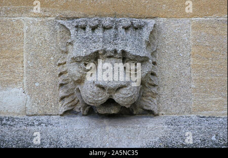 Météo Une météo-battues usées ou d'un lion gargouille de pierre sur le mur d'un collège en partie de l'université d'Oxford en pierre de Cotswold ou calcaire Banque D'Images