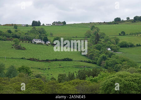 Un paysage vallonné, vert de l'Écosse est affiché pendant une journée nuageuse, avec des moutons montré entre la vue panoramique. Banque D'Images