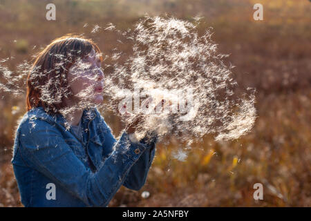 Une fille des coups au fluff dans ses mains et le duvet qui brille dans le soleil vole dans son visage dans le vent. Selective focus sur les mains et le duvet. Le b Banque D'Images