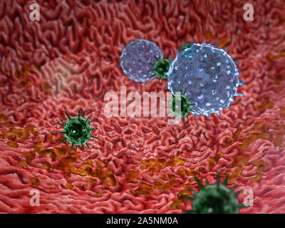 L'intérieur du corps humain, des graphiques 3D, lymphocyte, lymphocytes, macrophages, lymphocytes contre les virus tue les virus à l'intérieur de l'estomac Banque D'Images