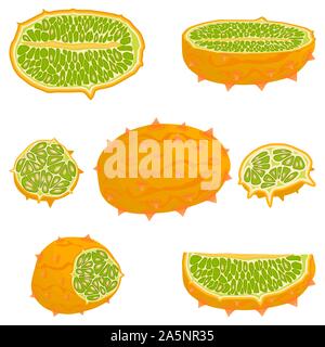 Illustration sur le thème gros définir différents types african kiwano, tige verte, melon de plusieurs tailles. Kiwano collection est constituée de melon repas pour o Illustration de Vecteur