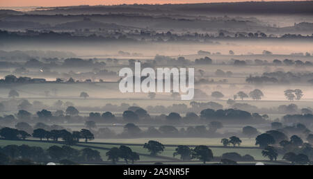 Vale Marshwood, Bridport, Dorset, UK. 22 octobre 2019. Météo France : Les arbres émergent de la brume matinale de couches à Marshwood Vale, le froid d'un matin d'automne. Credit : Celia McMahon/Alamy Live News. Banque D'Images