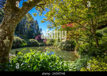 Les Butchart Gardens à Victoria, île de Vancouver, Canada pour l'été. Vue d'un étang avec fleurs et arbres du jardin historique. Banque D'Images