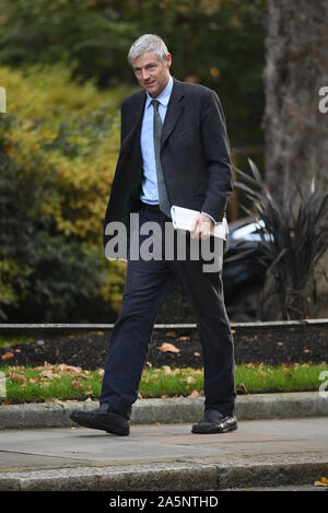 Ministre d'État Zac Goldsmith arrivant pour une réunion du Cabinet à Downing Street, Londres. PA Photo. Photo date : mardi 22 octobre, 2019. Voir la politique histoire Brexit PA. Crédit photo doit se lire : Stefan Rousseau/PA Wire Banque D'Images