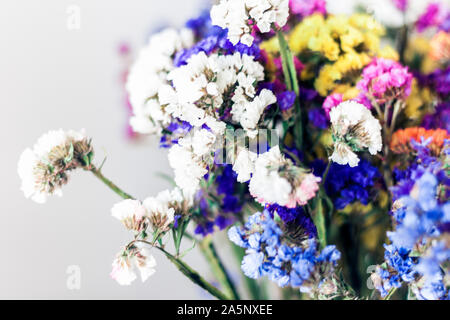 Close up bouquet de fleurs séchées de couleur texture d'arrière-plan Banque D'Images