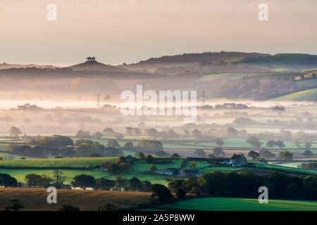 Marshwood, Dorset, UK. 22 octobre 2019. Météo britannique. Brume matinale jette à travers les domaines de l'Marshwood Vale dans le Dorset au lever du soleil à l'égard Colmers colline au loin. Crédit photo : Graham Hunt/Alamy Live News Banque D'Images