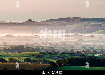 Marshwood, Dorset, UK. 22 octobre 2019. Météo britannique. Brume matinale jette à travers les domaines de l'Marshwood Vale dans le Dorset au lever du soleil à l'égard Colmers colline au loin. Crédit photo : Graham Hunt/Alamy Live News Banque D'Images